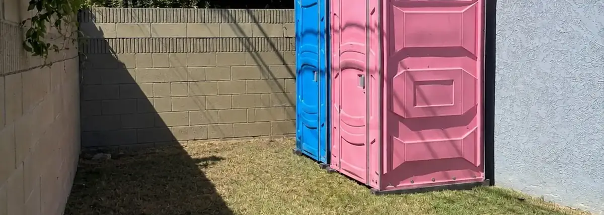 Blue and pink porta potties in a backyard